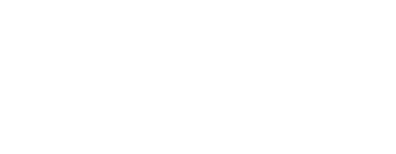 福島県 桃 Fukushima Peach